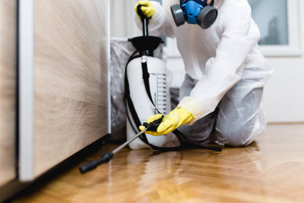 Best Affordable Pest Control Services  in Olivia, MN