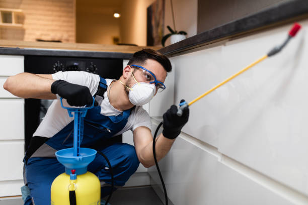 Best Pest Prevention Services  in Olivia, MN
