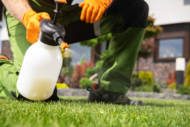Best Local Pest Control Services  in Olivia, MN