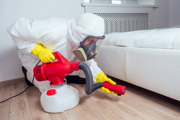 Best Best Pest Control Companies  in Olivia, MN
