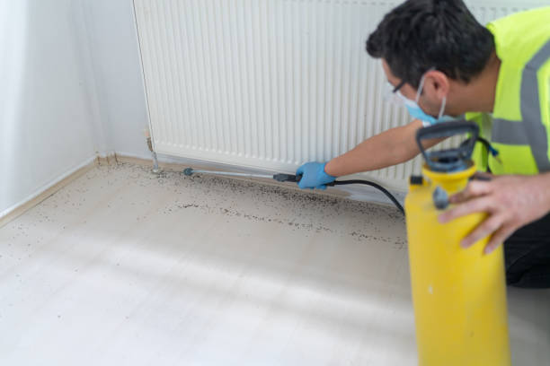 Professional Pest Control in Olivia, MN